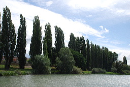 La Saône